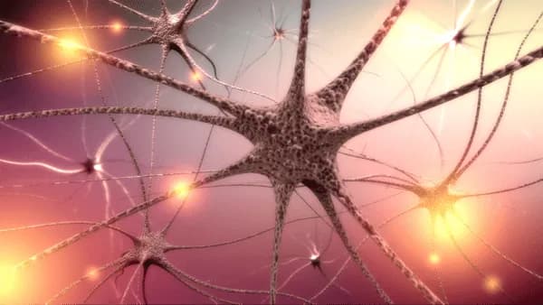Exciting Research - Regeneration of Nerve Fibers in the Brain